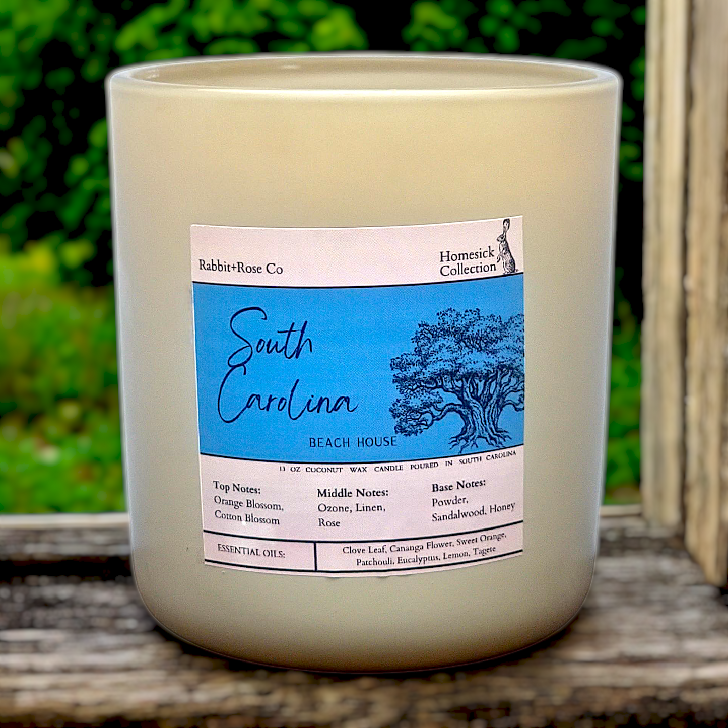 South Carolina- Beach House